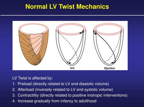 Twist Mechanics of the Left Ventricle: 